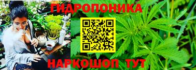 прущие грибы Краснознаменск