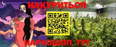 прущие грибы Краснознаменск