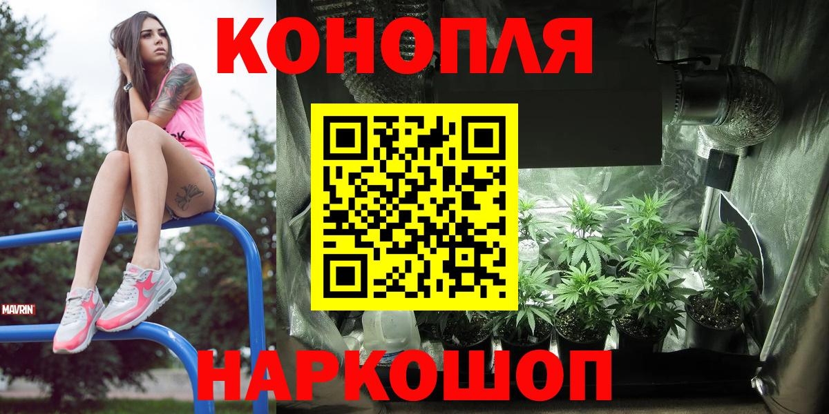 Калач-на-Дону  Каннабис планчик  Вход с VPN  Бошки Шишки Amnesia  Бошки Шишки сатива 